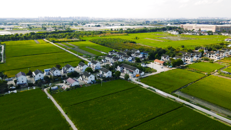 示范村——白鹤镇红旗村_美丽乡村_农业农村委_上海市青浦区人民政府