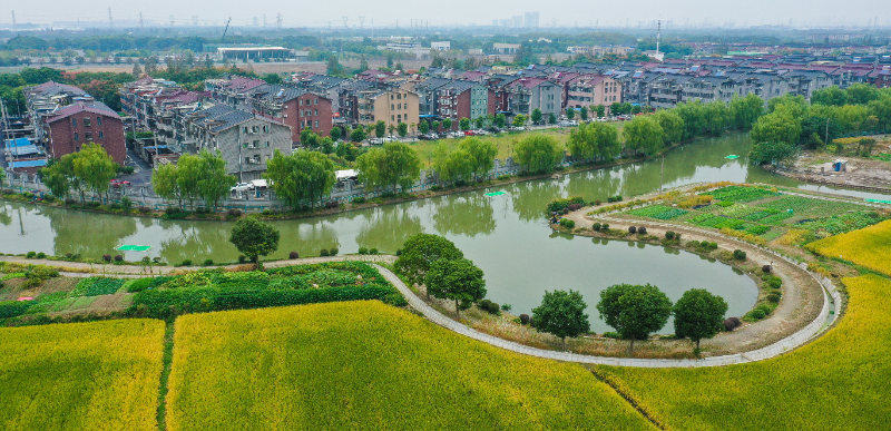 2020年度上海市美丽乡村示范村——徐泾镇金云村