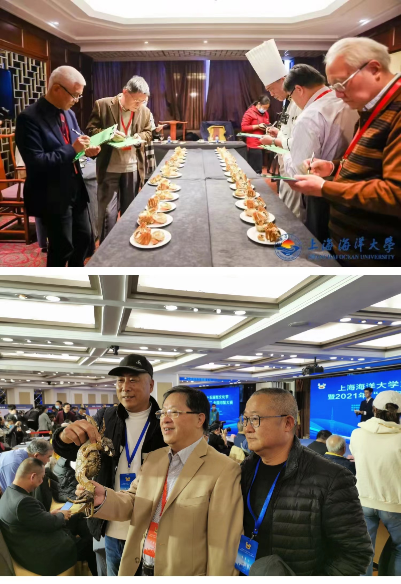 1116_131047_226.jpg 参赛现场.jpg