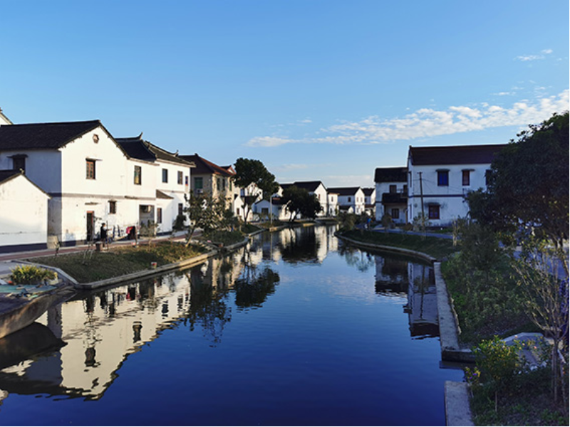 水清岸绿（王港村）.jpg
