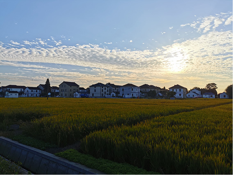 夕阳西下（王港村）.jpg