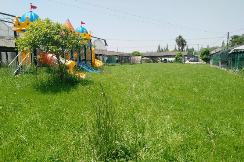 微信图片_20200505130125.jpg