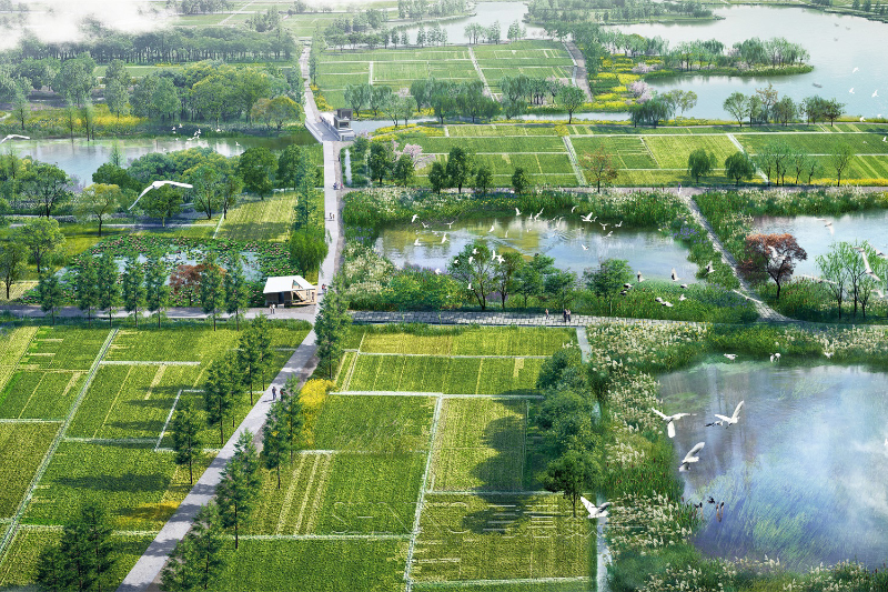 水乡客厅江南圩田展示园（一期）效果图.jpg.jpg