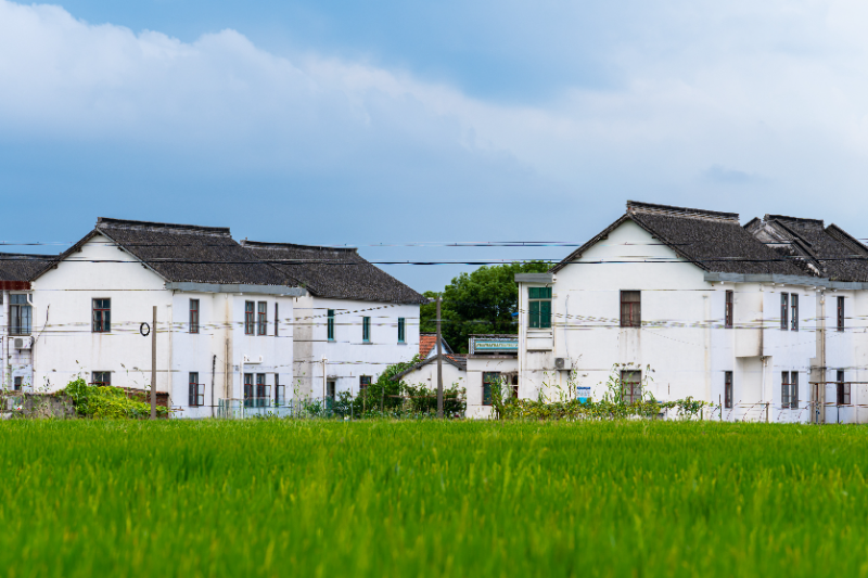 曙光村风貌.jpg