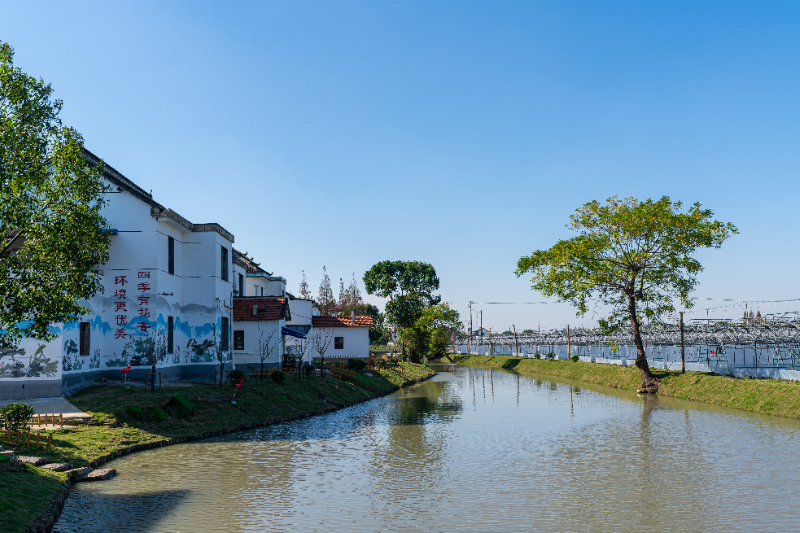 曙光村生态河道风光.jpg
