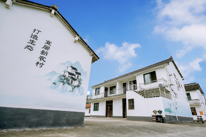 太平村村庄环境.jpg
