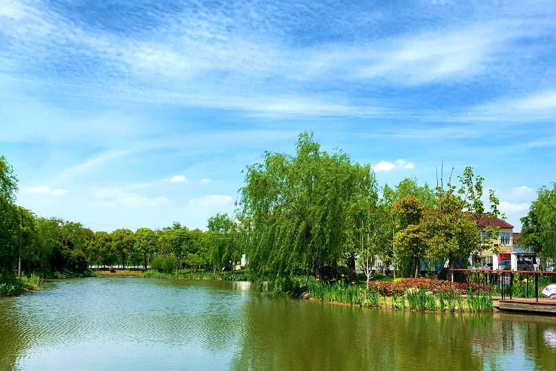 太平村生态河道.jpg