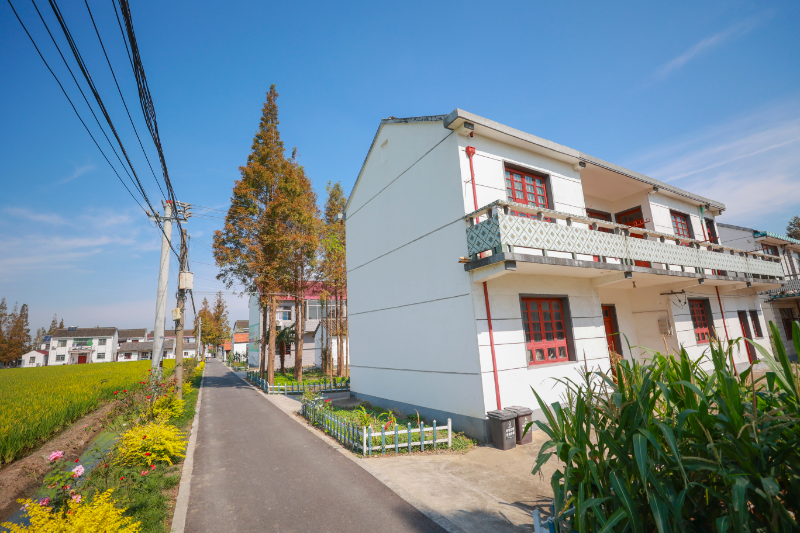 张巷村道路 .jpg