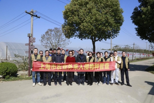 【三农动态】上海市级专家组来青浦区现场指导《上海市农业外来入侵物种普查》“前半程”进展情况