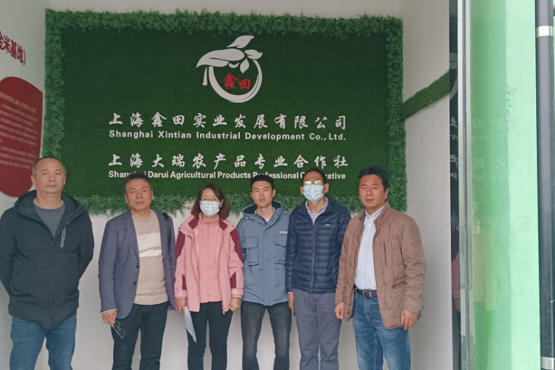 检查小组在上海大瑞农产品专业合作社.jpg