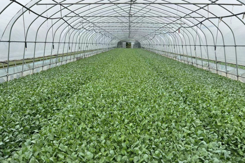 0609_092038_295.jpg bbbf3d4096d22b1b4f826cad4558405.jpg