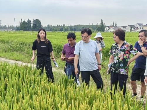 【三农动态】上海市农技中心专家来青浦评审验收绿色防控示范...