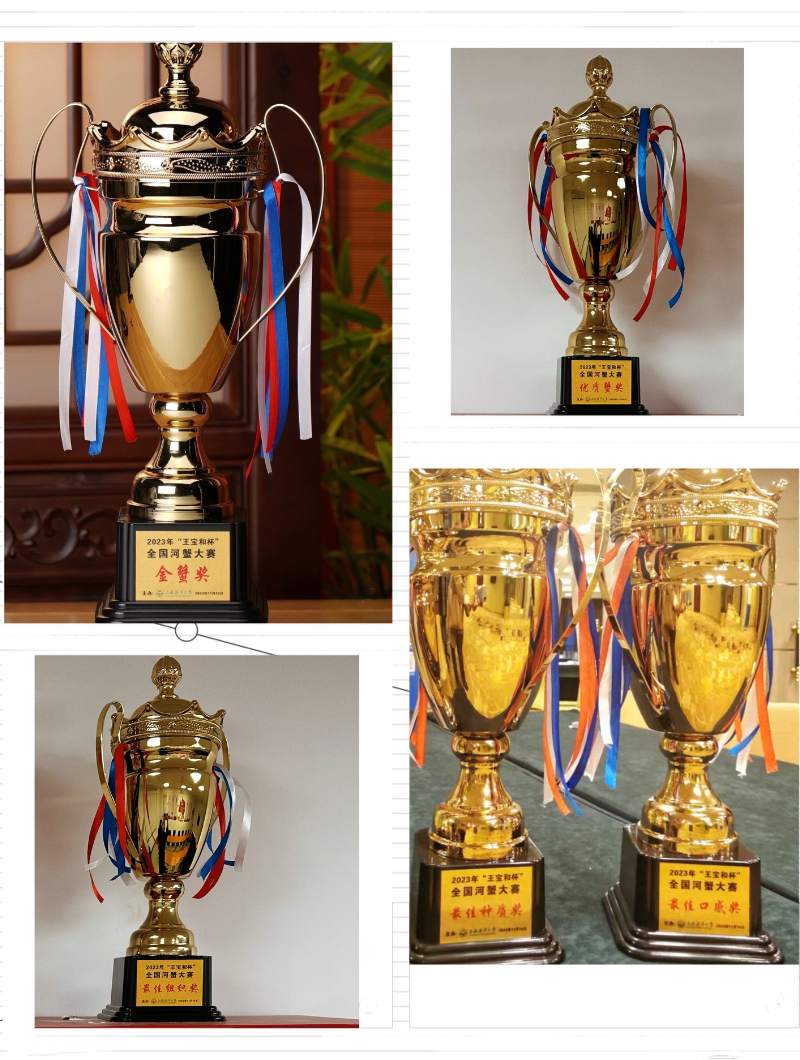 奖杯集锦.jpg
