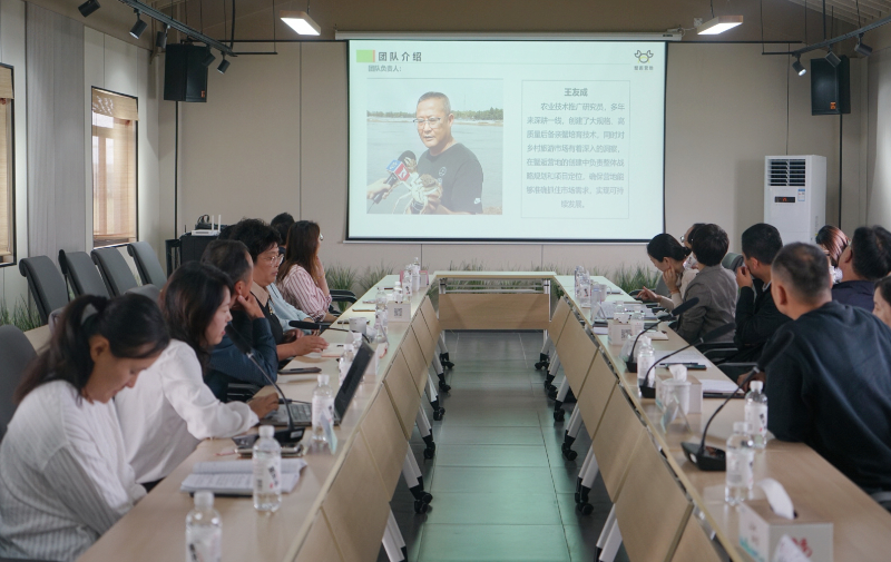 6 邂逅营地汇报1.jpg