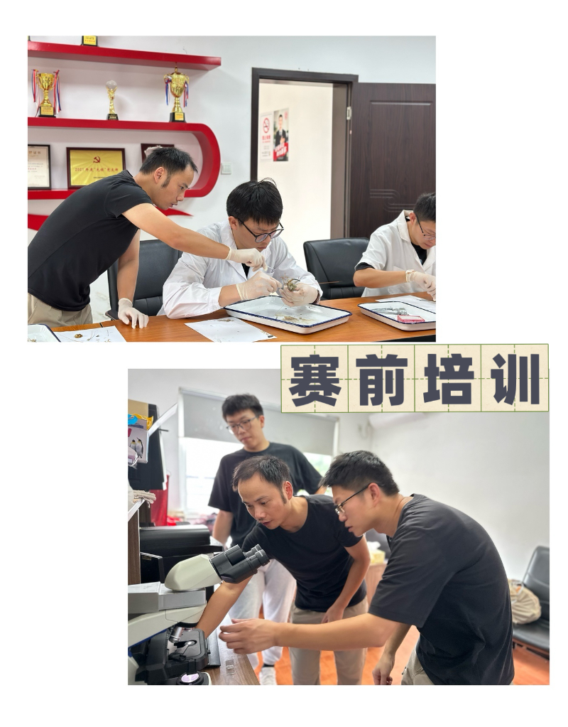 微信图片_20241119122540.jpg