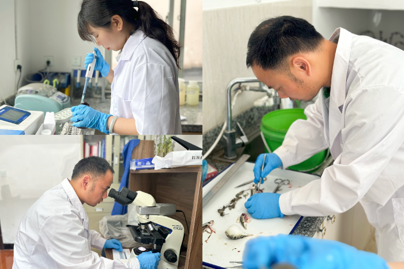 微信图片_2025-06-18_152140_917.png