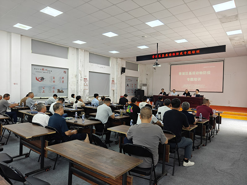筑牢秋季动物防疫屏障，守护城市公共卫生安全