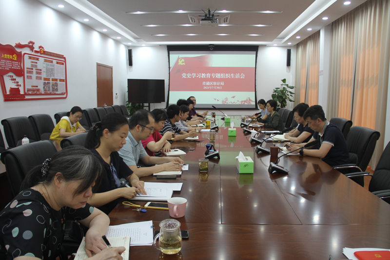 锤炼党性 砥砺前行——审计局召开党史学习教育专题组织生活会