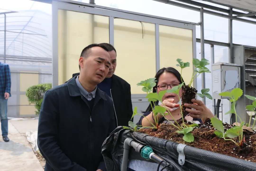 微信图片_20200408092052.jpg