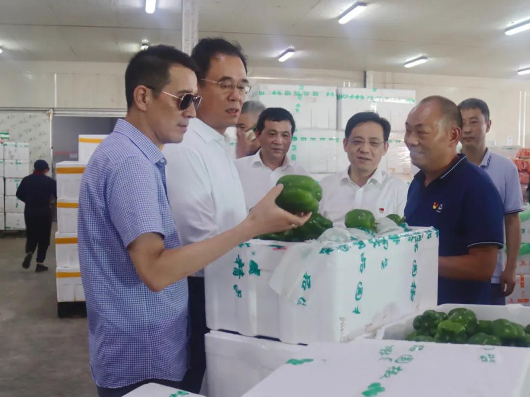 0812_092253_598.jpg 0812_092253_598.jpg