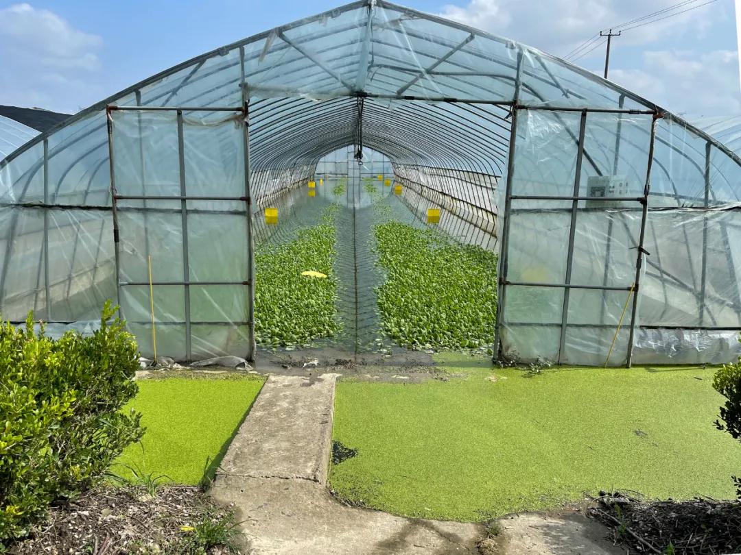 0812_092404_107.jpg 0812_092404_107.jpg