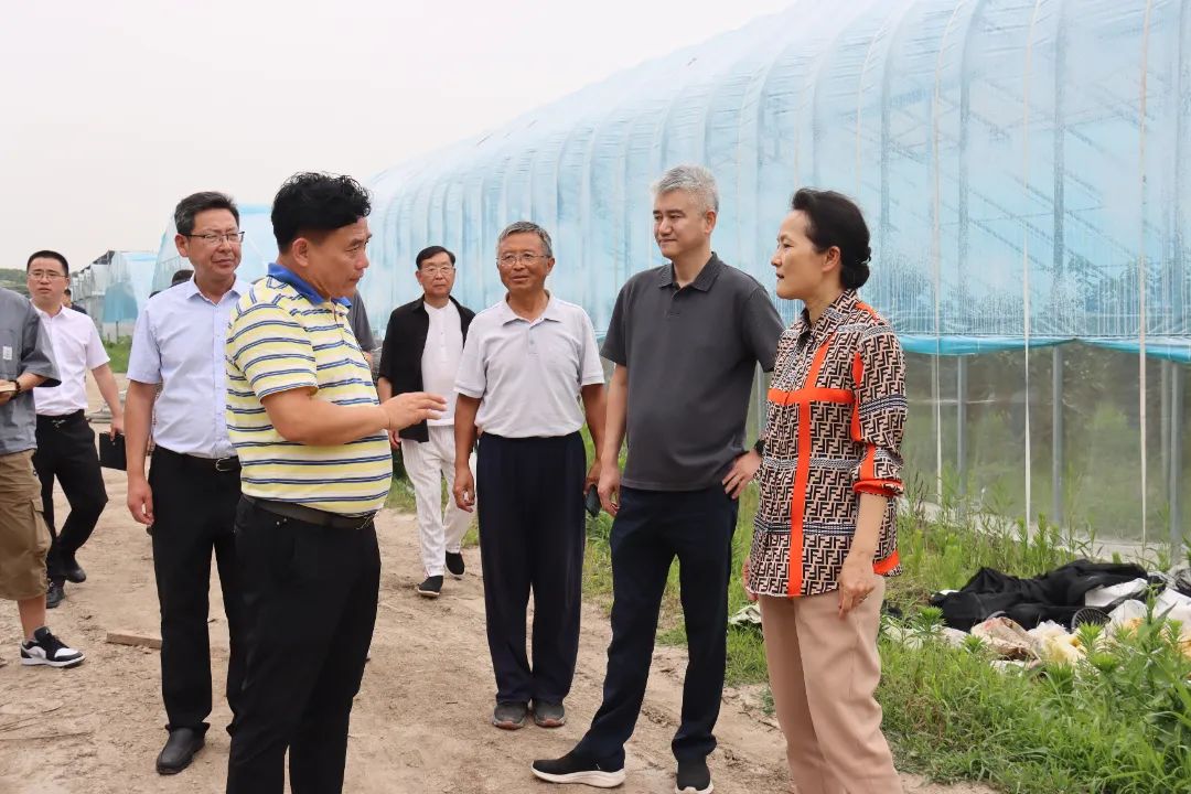 0620_133740_783.jpg 0620_133740_783.jpg