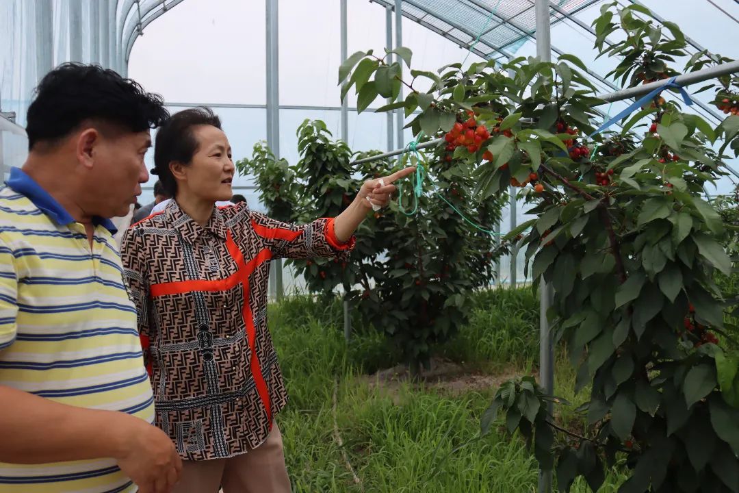 0620_133756_173.jpg 0620_133756_173.jpg