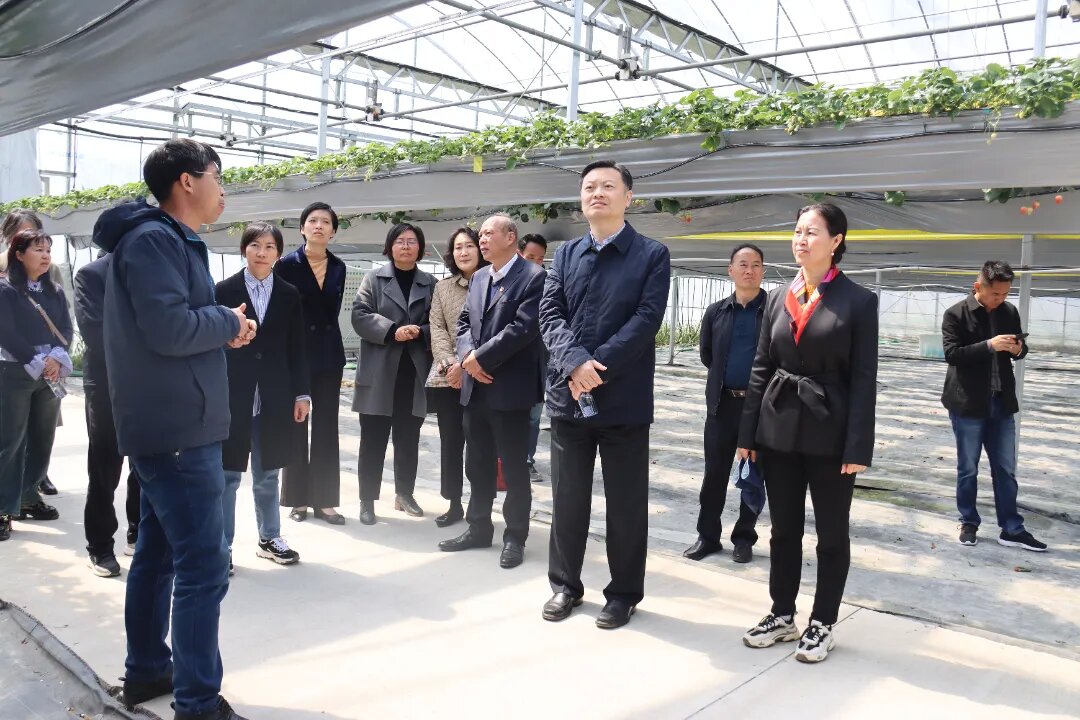 0326_104431_114.jpg 0326_104431_114.jpg