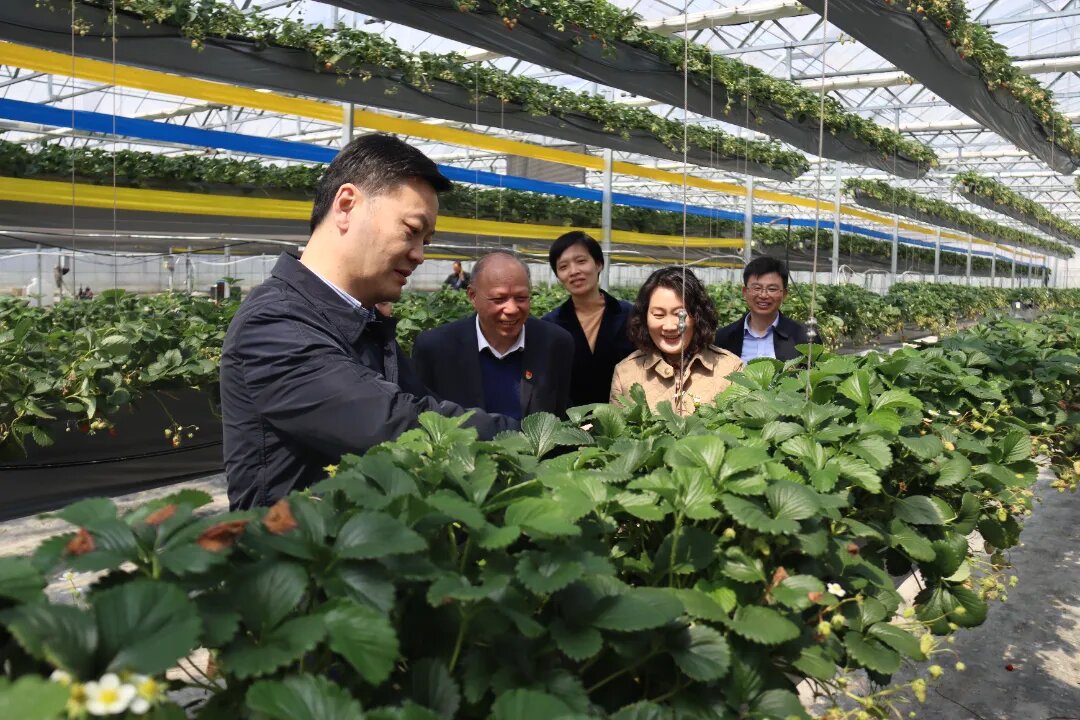 0326_104437_941.jpg 0326_104437_941.jpg