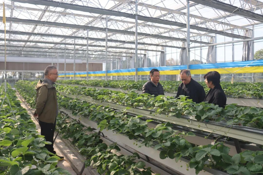 1202_100911_597.jpg 11.jpg