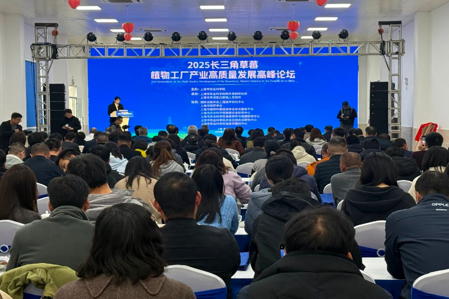 草莓“上楼”，“六业”融合！这个长三角高峰论坛在白鹤镇开幕