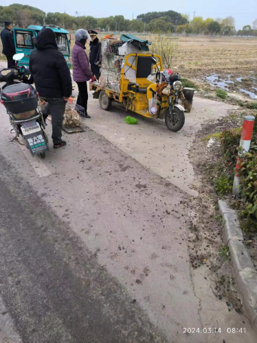1710663775726.png