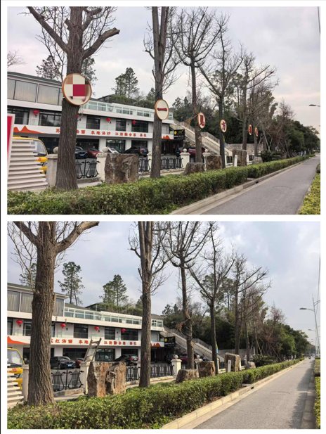 0616_085436_113.png QQ_1750035983880.png