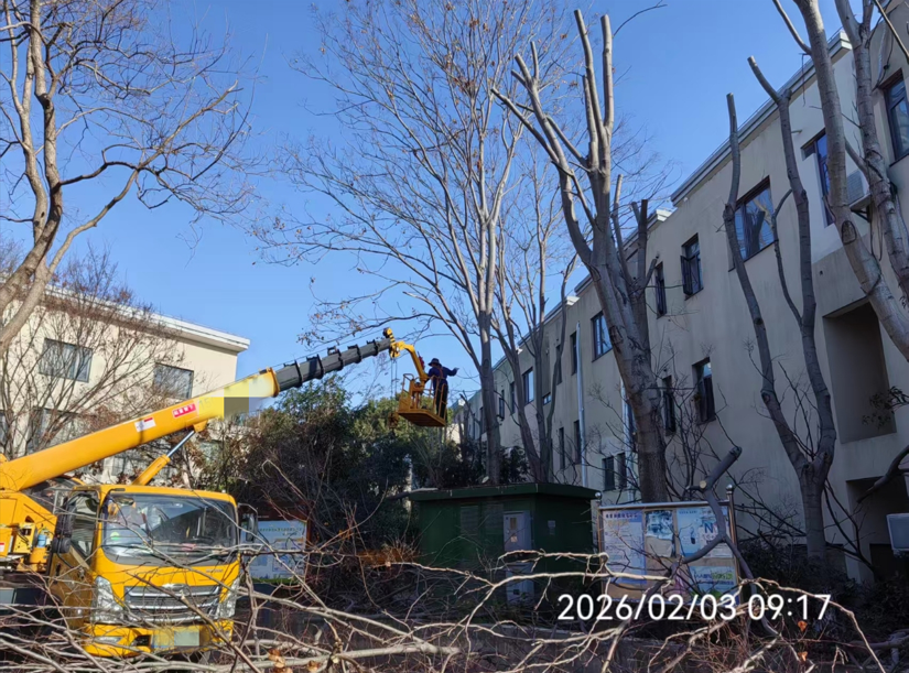 0309_104433_823.png 22dd26b6-dfd3-4da8-9c24-61a8f340b2d4.png