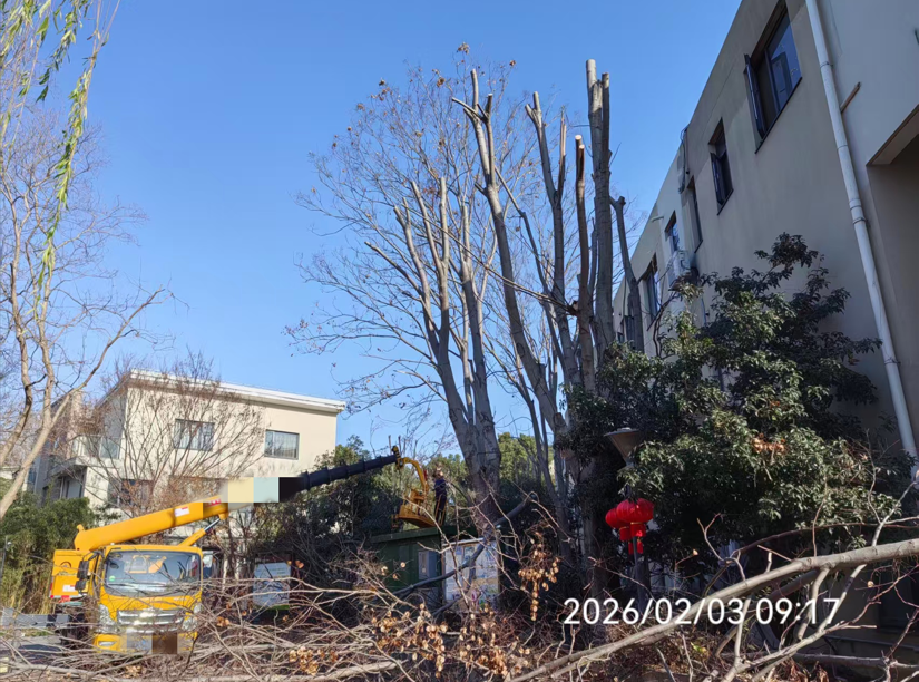 0309_104458_684.png ea2b0c62-64ba-4f30-85ea-0f1e7787c444.png