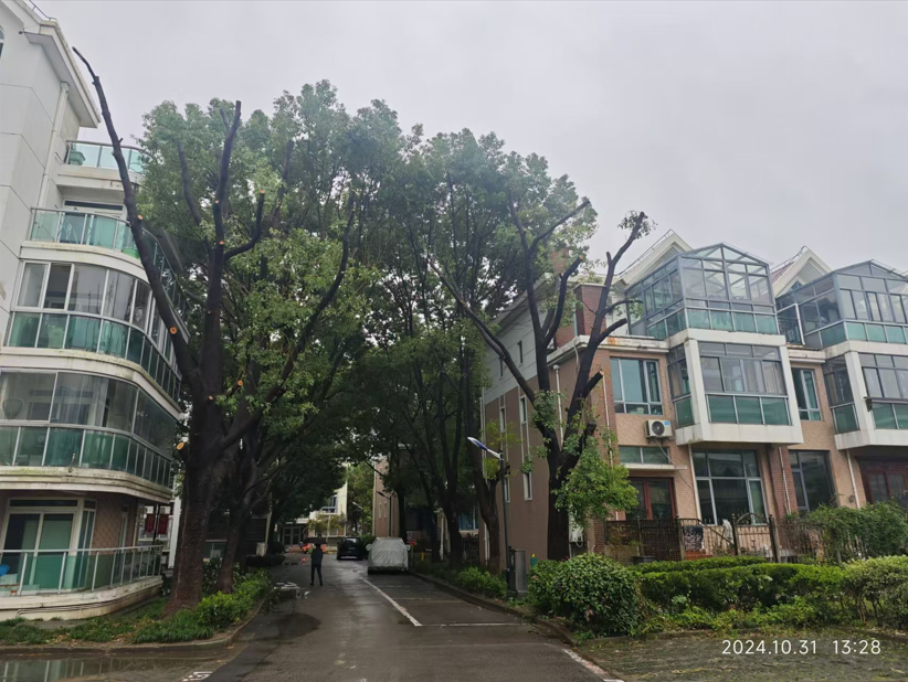 0309_105435_814.png e66329a2-3b6f-4b1a-a913-780feecf83d8.png