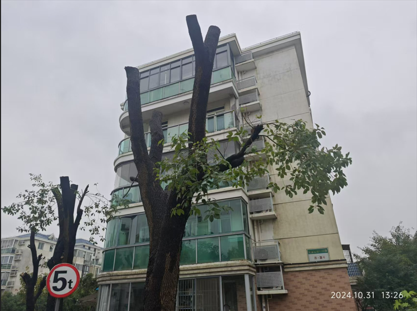 0309_105452_337.png 35c84c11-6777-436a-80ce-1cd2c51dde20.png