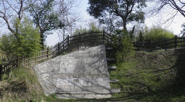 17.jpg