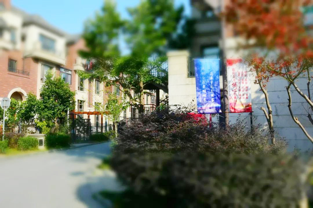 1204_093456_666.jpg