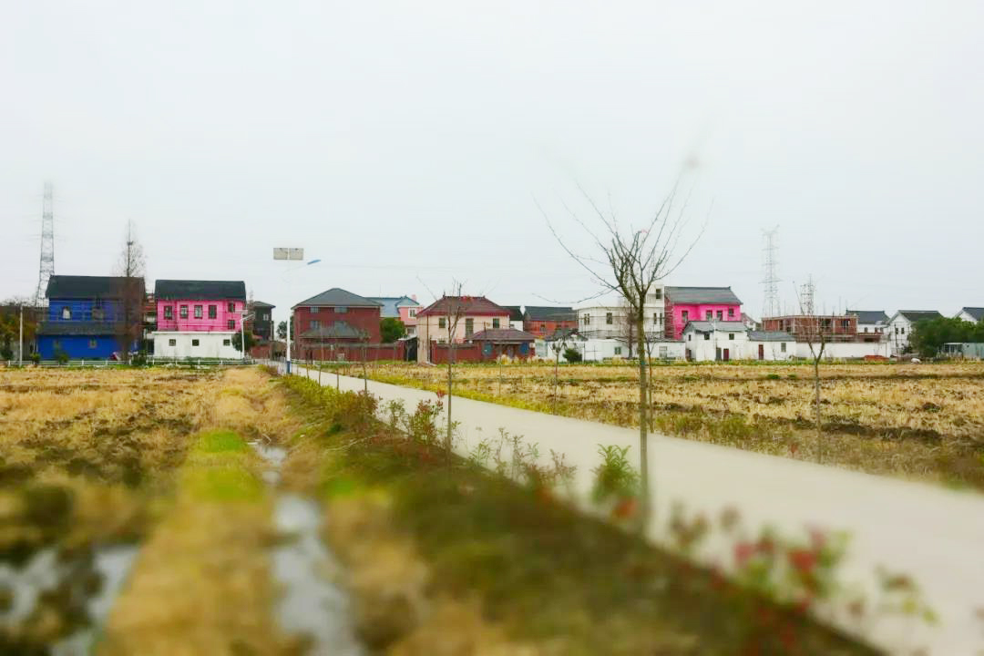 0403_092414_606.jpg