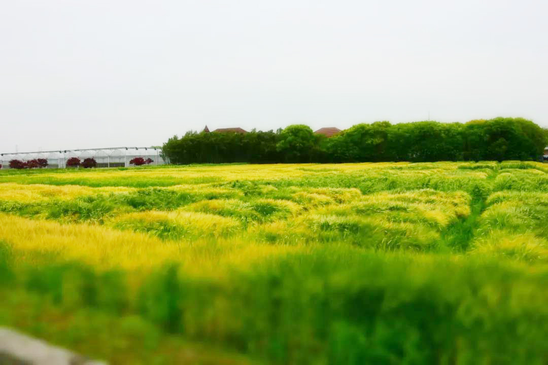 0528_100202_876.jpg