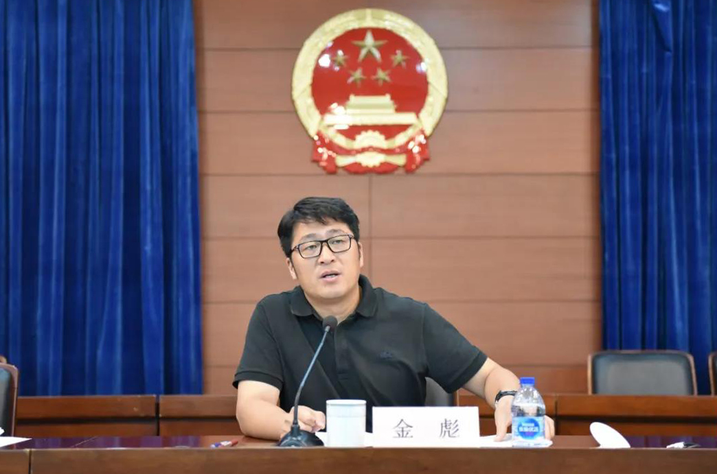 镇党委书记金彪作重要讲话