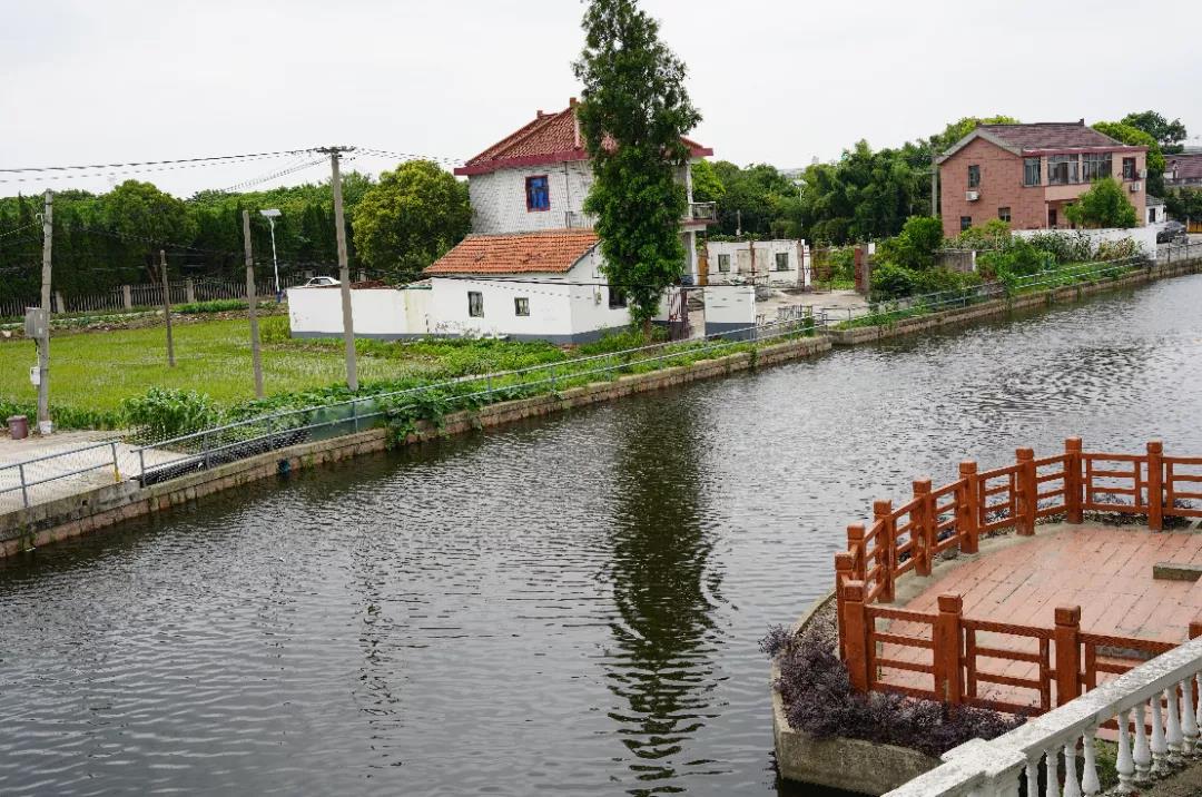 0710_090807_394.jpg
