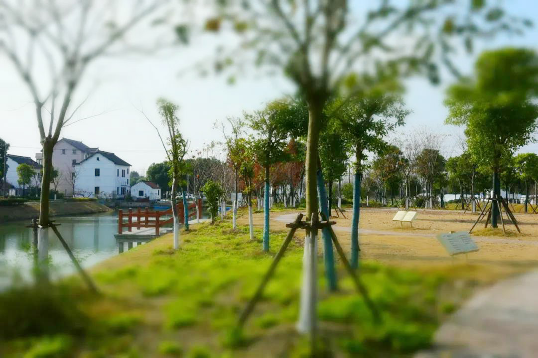 0722_101811_803.jpg