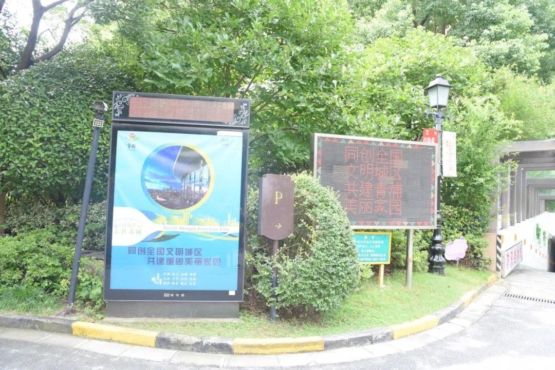 0806_094607_819.jpg