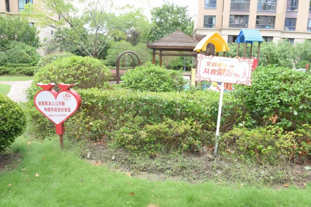 0806_095226_927.jpg