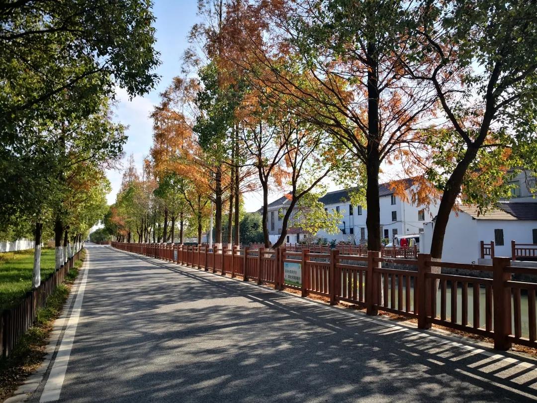 0118_095100_524.jpg 0118_095100_524.jpg