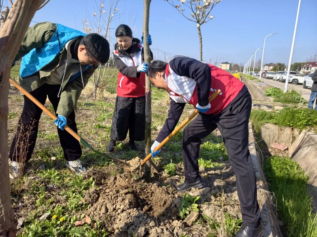 春日有约，“植”此青绿！重固镇开展植树节活动