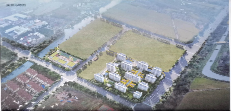 区建管所积极推进中交集团华新商品房项目招投标工作.png