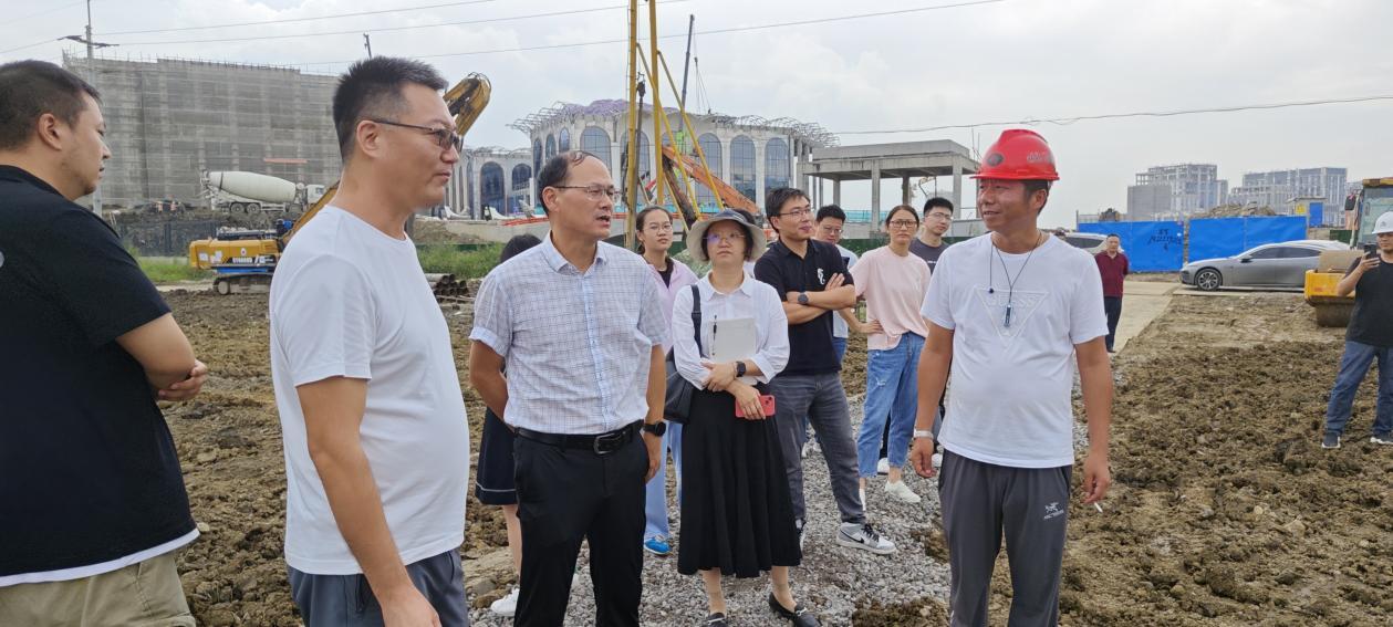 区重大办巡查指导金泽镇西岑社区规划六路（岑卜路~规划三路）新1.jpeg